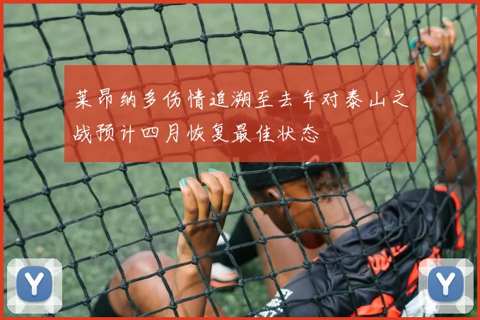 莱昂纳多伤情追溯至去年对泰山之战预计四月恢复最佳状态