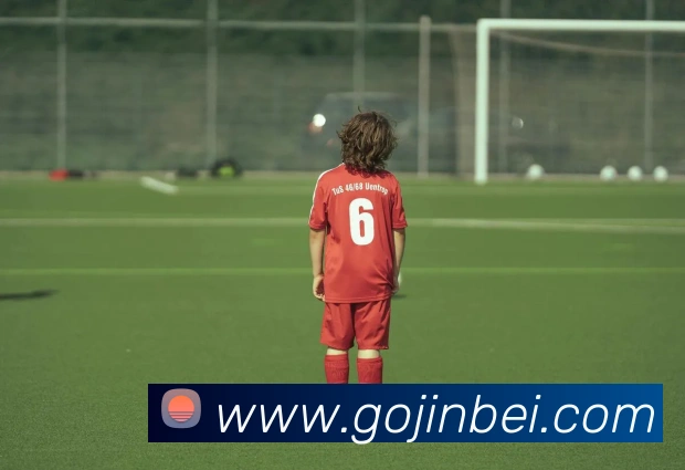 金贝娱乐城发展历程